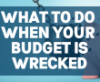 Budget Blueprints Review:   Bullymake Box
